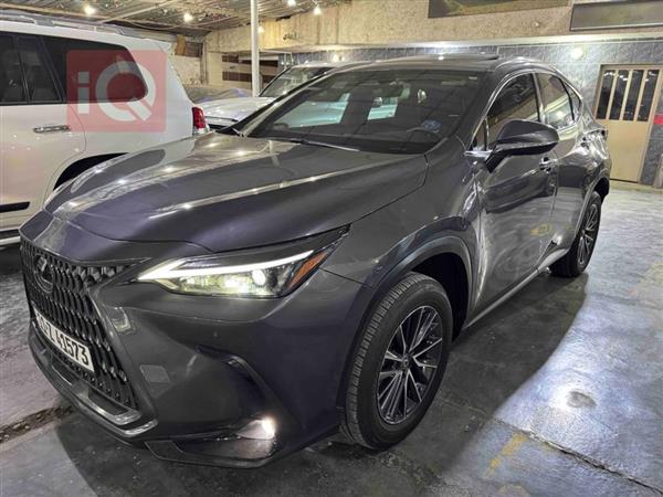 لێکزس NX 2023  بۆ فرۆشتن لە عێراق -  بەغداد